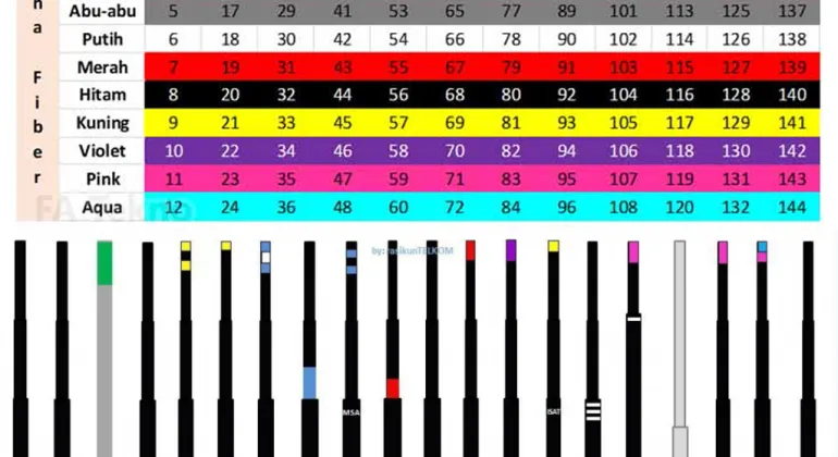 Mengenal Kode Warna Fiber Optik